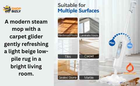 Steam Mop for Carpet: Safe Use, Benefits & Best Options
